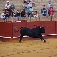 2014.06.22-568.JPG
