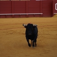 2014.06.22-569.JPG