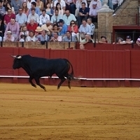 2014.06.22-570.JPG