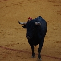 2014.06.22-572.JPG