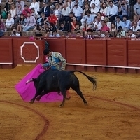 2014.06.22-575.JPG