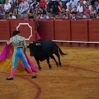 2014.06.22-576.JPG