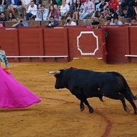 2014.06.22-577.JPG