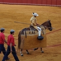 2014.06.22-585.JPG