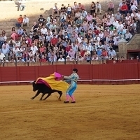 2014.06.22-586.JPG