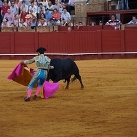 2014.06.22-588.JPG