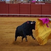 2014.06.22-590.JPG