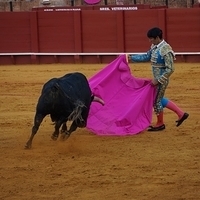 2014.06.22-592.JPG