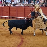 2014.06.22-595.JPG