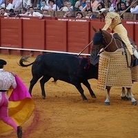2014.06.22-596.JPG