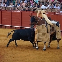 2014.06.22-597.JPG