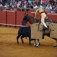 2014.06.22-598.JPG