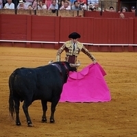 2014.06.22-599.JPG