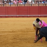2014.06.22-602.JPG
