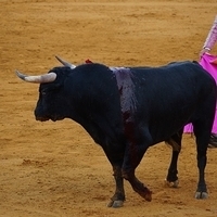 2014.06.22-604.JPG
