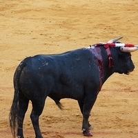 2014.06.22-606.JPG