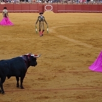 2014.06.22-607.JPG
