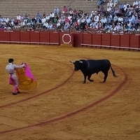 2014.06.22-610.JPG