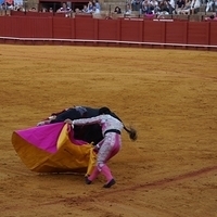2014.06.22-611.JPG
