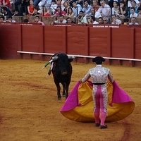 2014.06.22-614.JPG