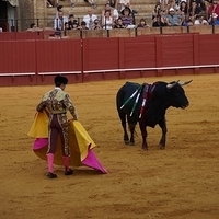 2014.06.22-616.JPG