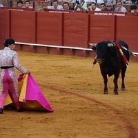 2014.06.22-621.JPG