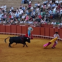 2014.06.22-622.JPG