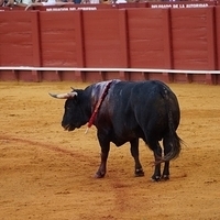 2014.06.22-644.JPG