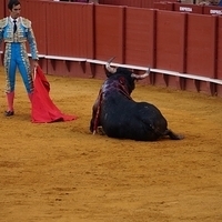 2014.06.22-647.JPG