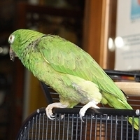 2014.06.23-114.JPG