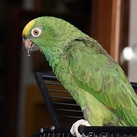 2014.06.23-115.JPG