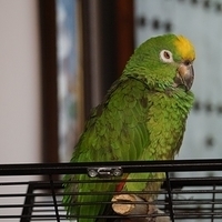 2014.06.23-188.JPG