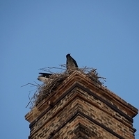 2014.06.22-127.JPG