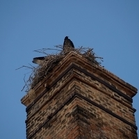 2014.06.22-128.JPG