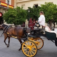 2014.06.23-009.JPG