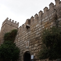 2014.06.23-028.JPG