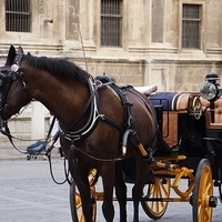 2014.06.23-032.JPG