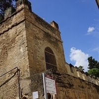 2014.06.23-074.JPG