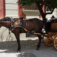 2014.06.23-192.JPG