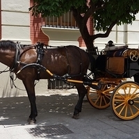 2014.06.23-193.JPG