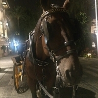 2014.06.24-394.JPG