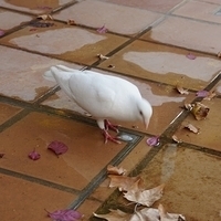 2014.06.25-129.JPG