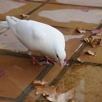 2014.06.25-130.JPG