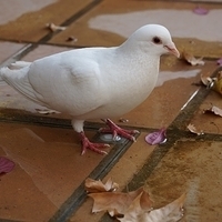 2014.06.25-131.JPG