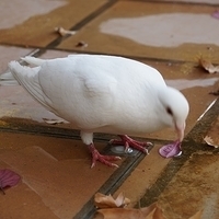 2014.06.25-132.JPG
