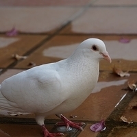 2014.06.25-133.JPG