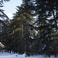 2014.12.22-004
