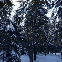 2014.12.22-006