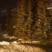 2014.12.22-052