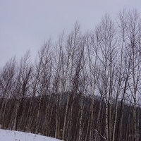 2014.12.24-187